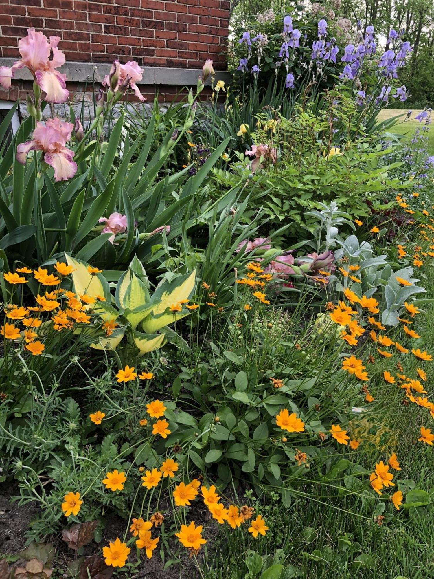 The Vine Bed & Breakfast, Llc Dundee Exterior foto